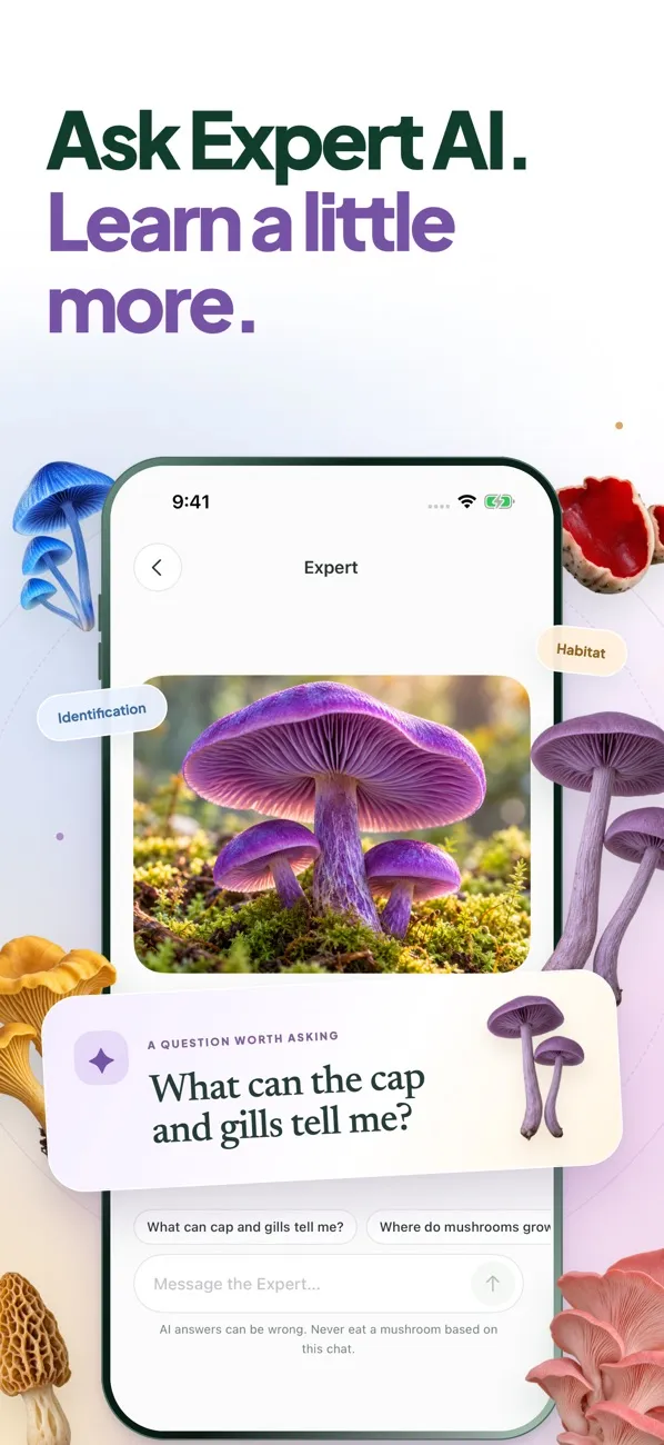 Mushie result screen for a fly agaric with a poisonous warning
